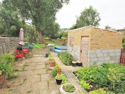 Picture 11